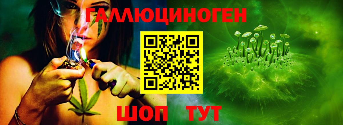 Тутаев  Псилоцибиновые грибы ЛСД  Вход с VPN 